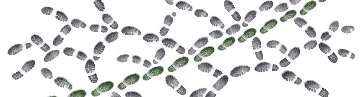 Overlapping footprints with one route highlighted in green.